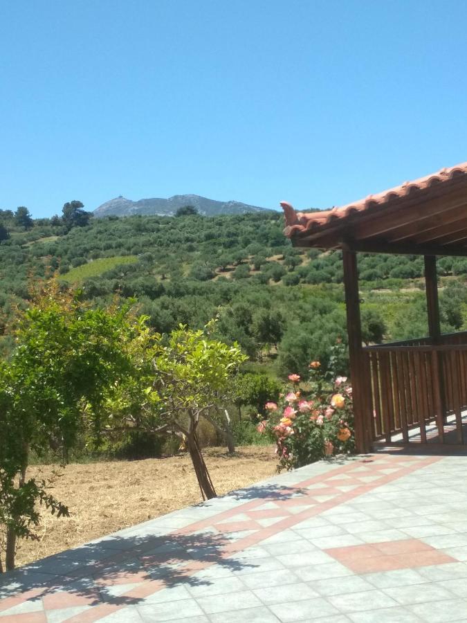 Eden Garden Villa Near Knossos Skalanion エクステリア 写真