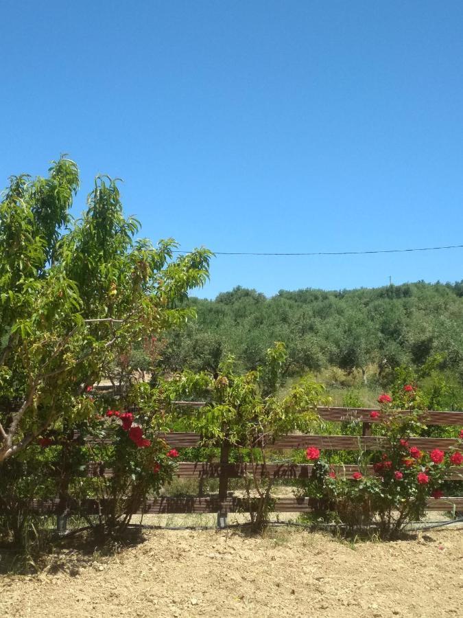 Eden Garden Villa Near Knossos Skalanion エクステリア 写真