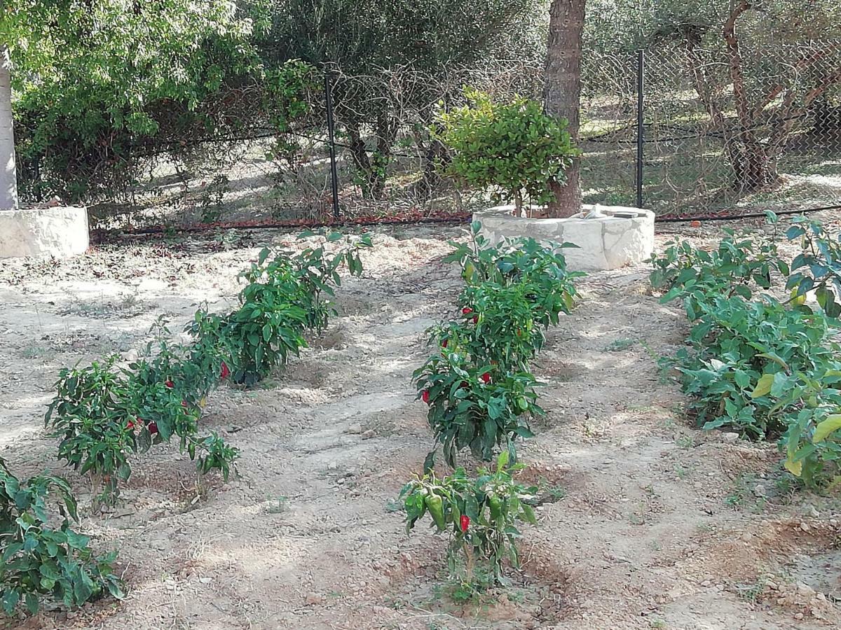 Eden Garden Villa Near Knossos Skalanion エクステリア 写真