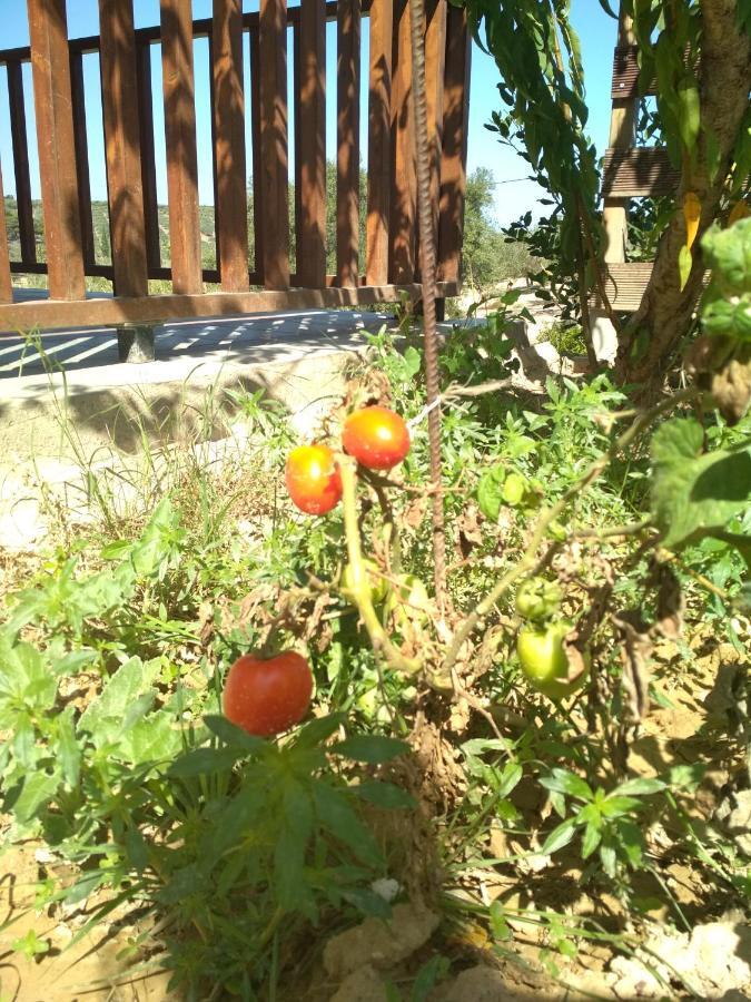 Eden Garden Villa Near Knossos Skalanion エクステリア 写真